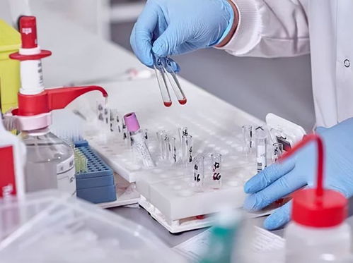 酒店洗护用品 在“洗牌、淘汰、升级”中重塑行业标准